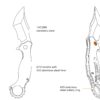 Knife Functions – P881-B1